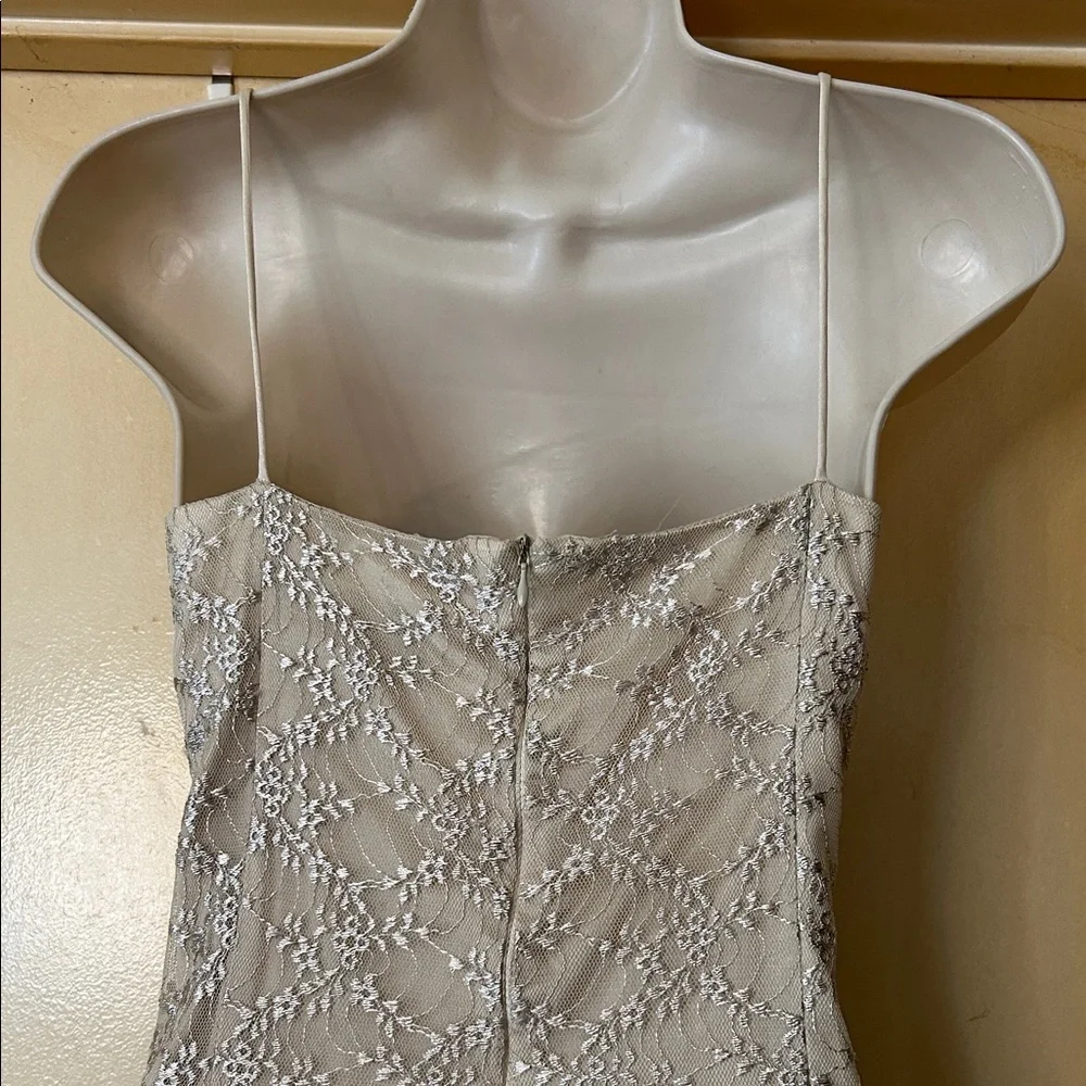 Alex Evenings Spaghetti Strap Cream Lace Gown size 14